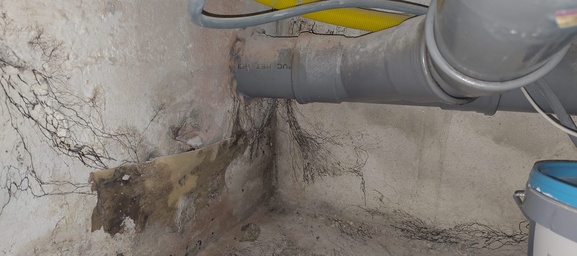 Inspectiegids banner