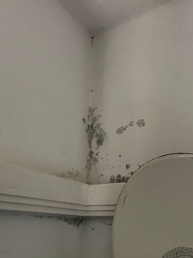 Schimmel in badkamer