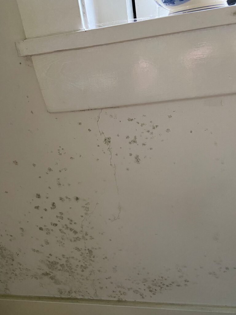 Schimmel op muur