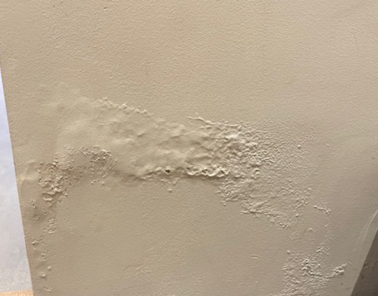 Vochtplekken plafond