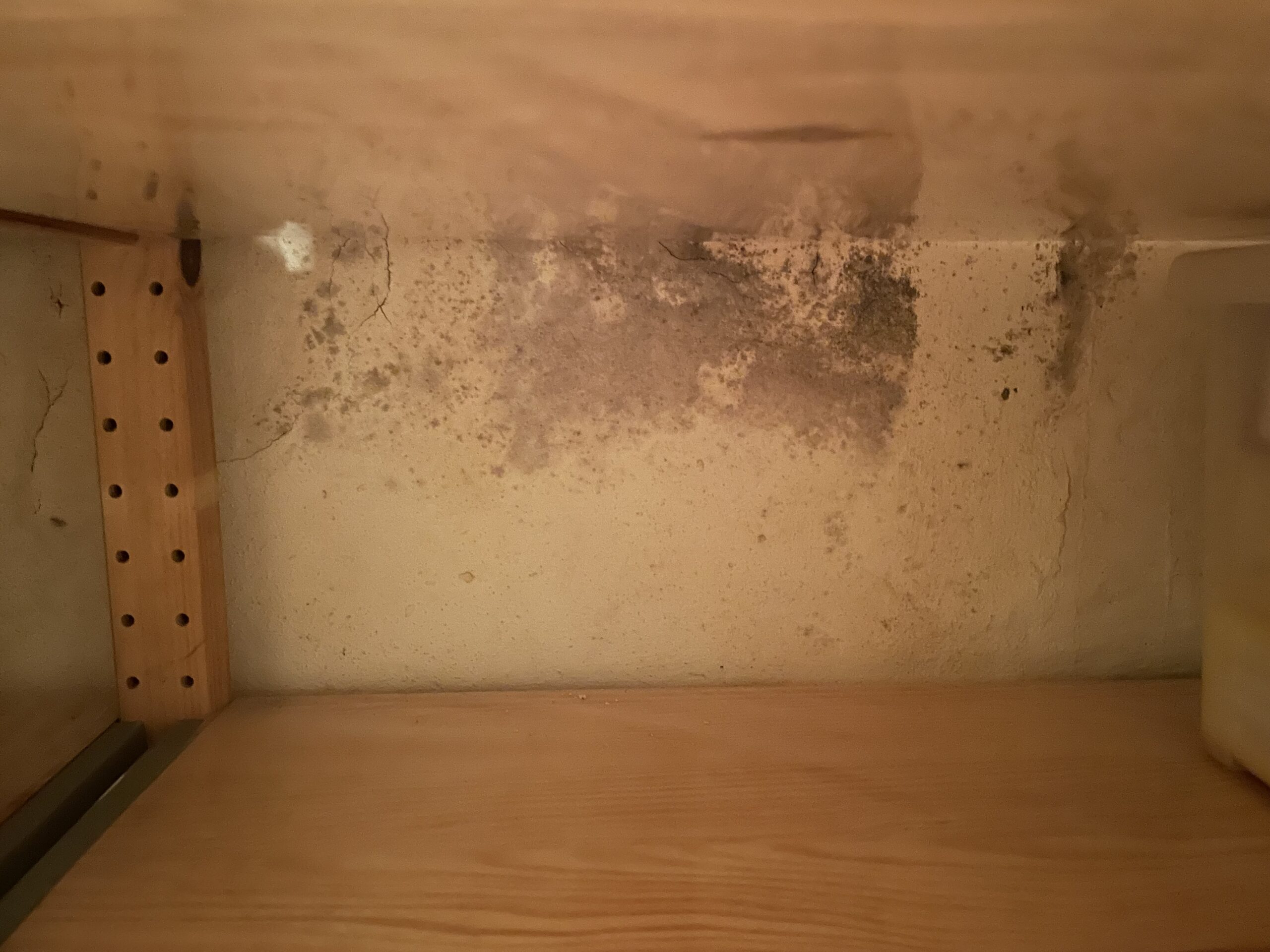 Inspectiegids banner