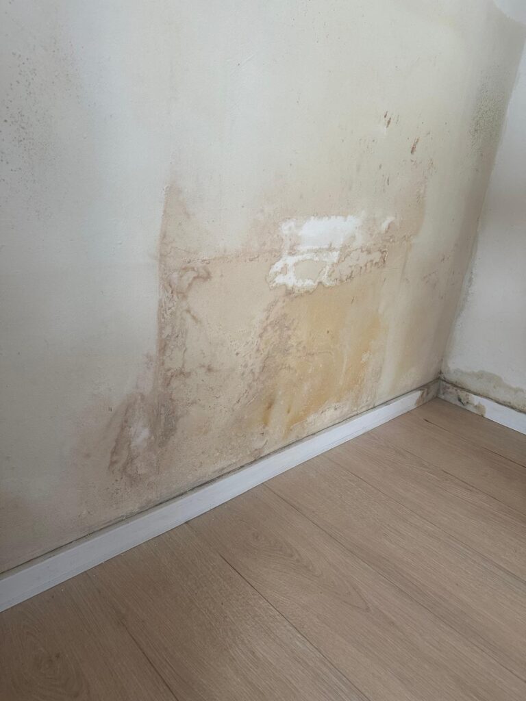 Schimmel in huis laten verwijderen