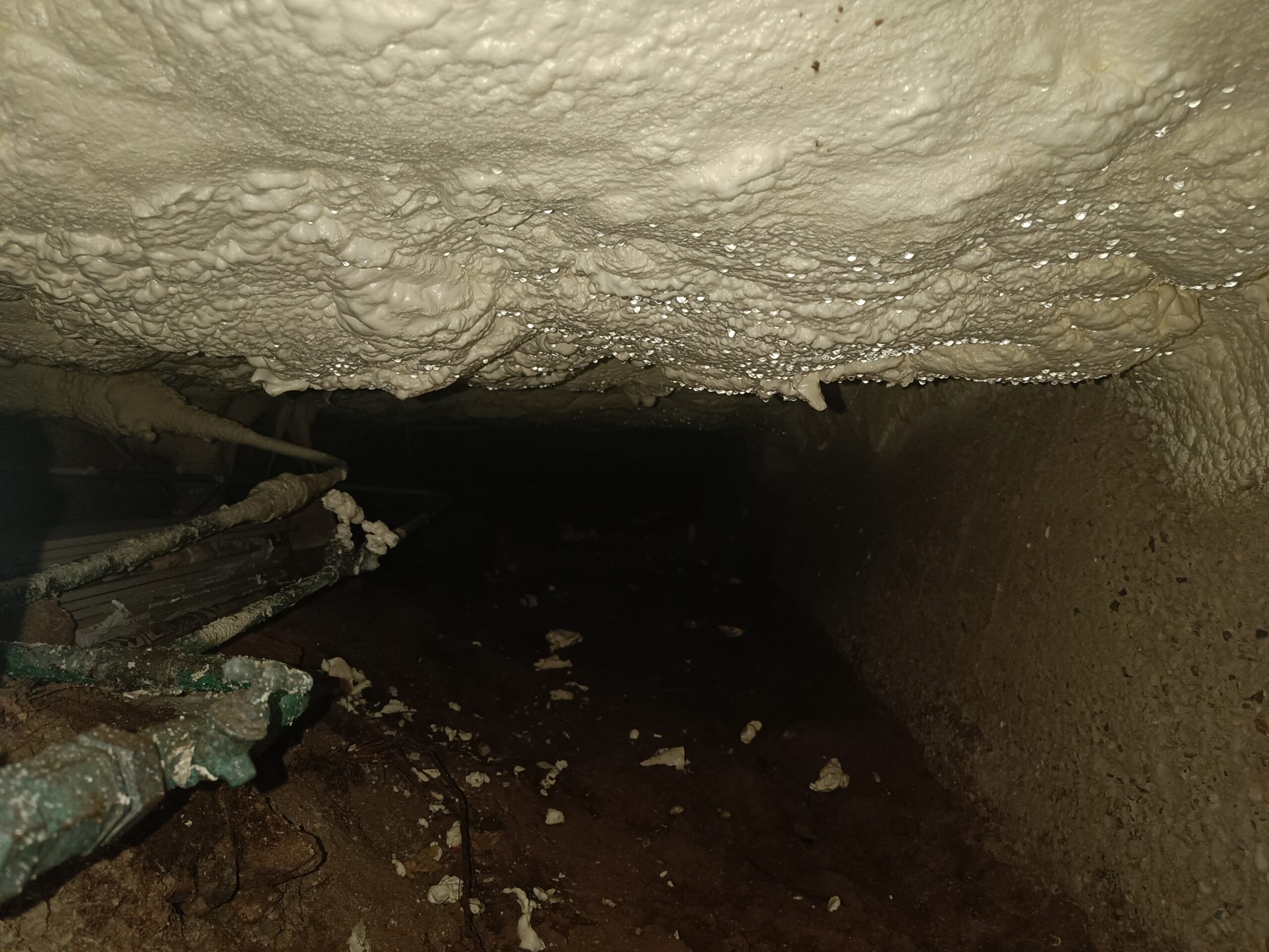 Inspectiegids banner